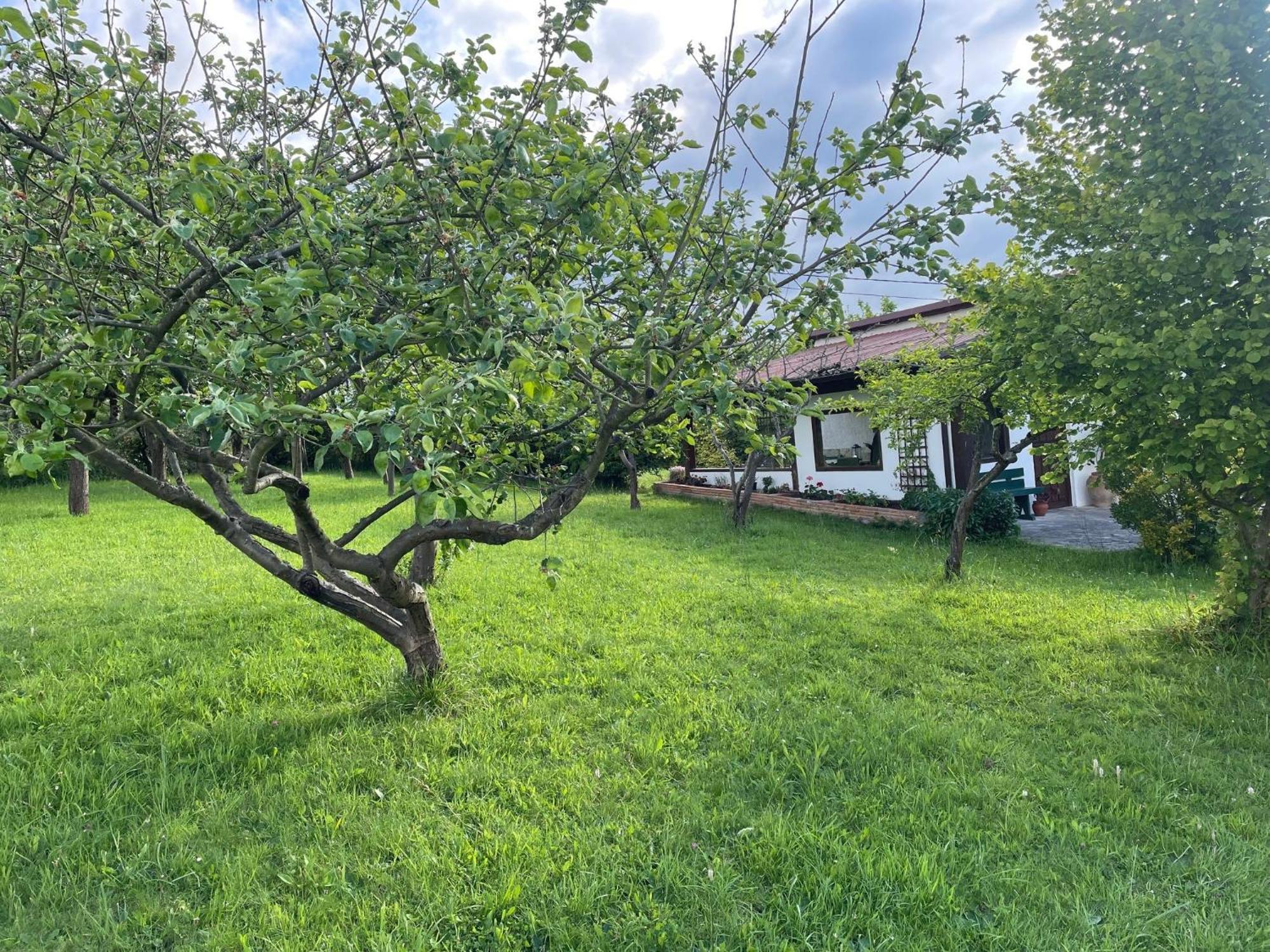 Вилла Casa Benjamin Овьедо Экстерьер фото
